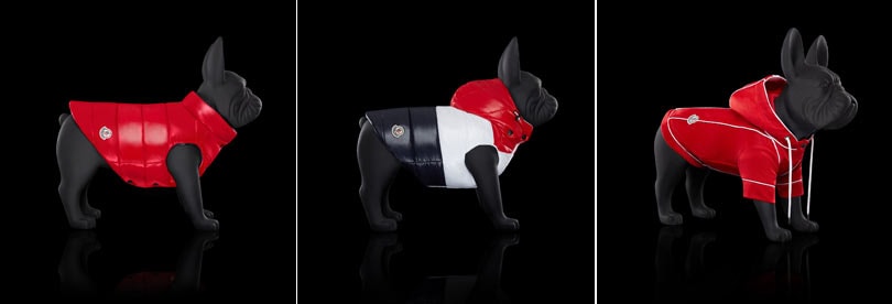 Dog fashion: the next step for luxury brands? Dog fashion: the next step for luxury brands?