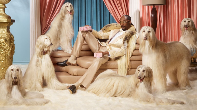 Snoop Dogg becomes a shareholder in Klarna Snoop Dogg becomes a shareholder in Klarna